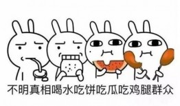 吃瓜群众指的是什么意思,网络时代的旁观者与评论者