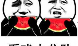 吃瓜表情包是啥意思啊,网络热词背后的文化现象