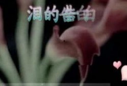 国产3p对白在线视频