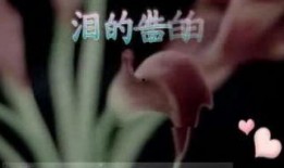 国产3p对白在线视频