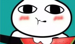 吃瓜表情包是啥意思啊,网络热词背后的文化现象